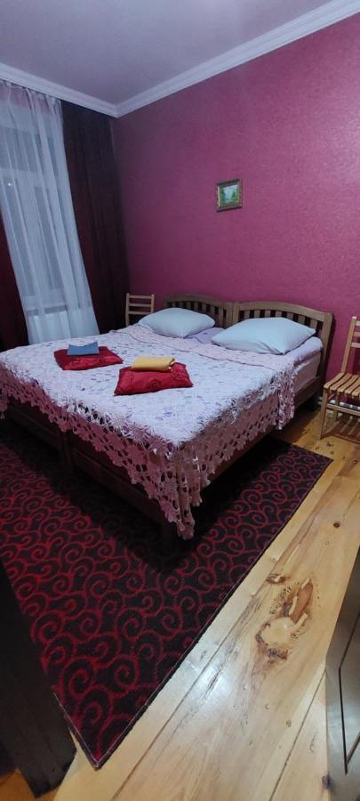 Guest House Lela Rezo Stepantsminda Exterior photo